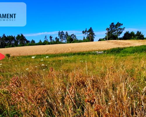 Zupełnie nowa cena!!Duża działka budowlana!!