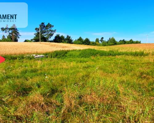Zupełnie nowa cena!!Duża działka budowlana!!