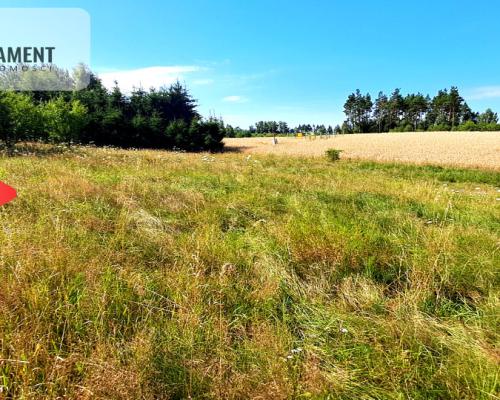 Zupełnie nowa cena!!Duża działka budowlana!!