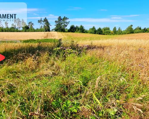 Zupełnie nowa cena!!Duża działka budowlana!!