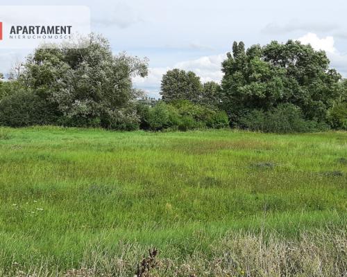 Działka w Żninie blisko jeziora Dużego