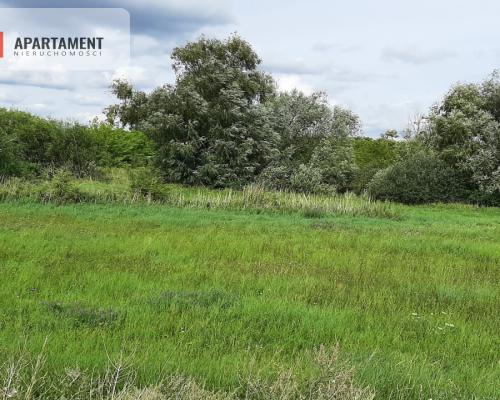 Działka w Żninie blisko jeziora Dużego