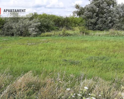 Działka w Żninie blisko jeziora Dużego