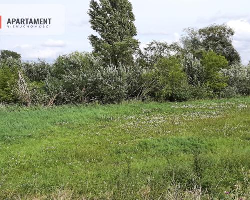 Działka w Żninie blisko jeziora Dużego