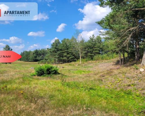 działka leśno rolna
