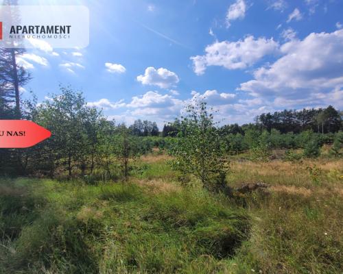 działka leśno rolna