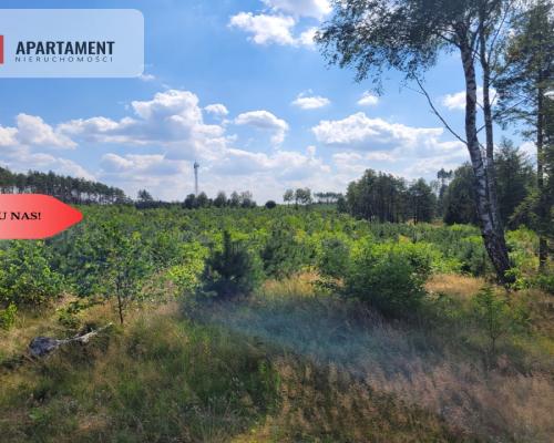 działka leśno rolna