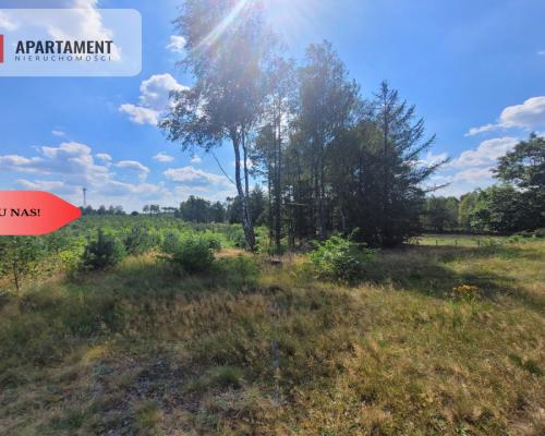 działka leśno rolna