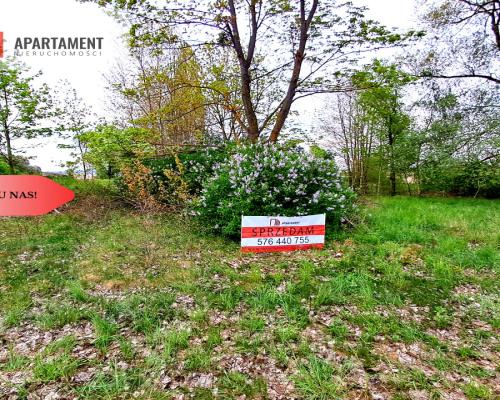 Tylko u nas. Działka w Mamliczu