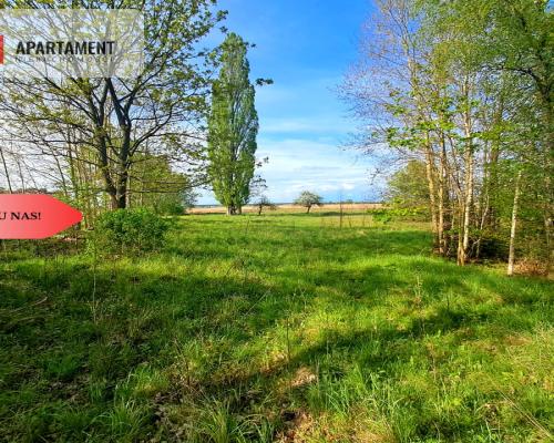Tylko u nas. Działka w Mamliczu