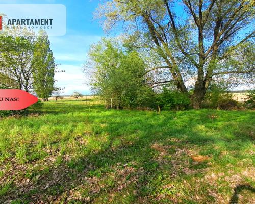 Tylko u nas. Działka w Mamliczu