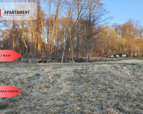 Działka z warunkami zabudowy – Gościm