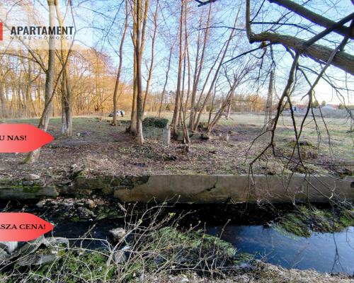 Działka z warunkami zabudowy – Gościm