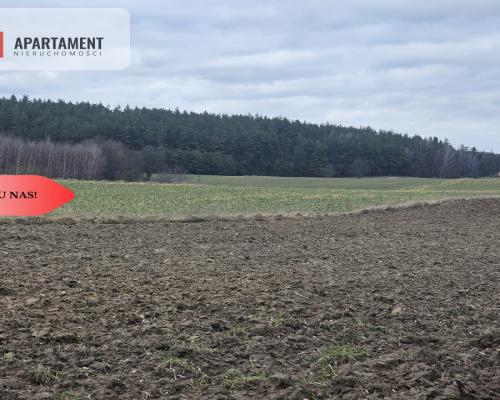 Tylko u nas - działka rolna!