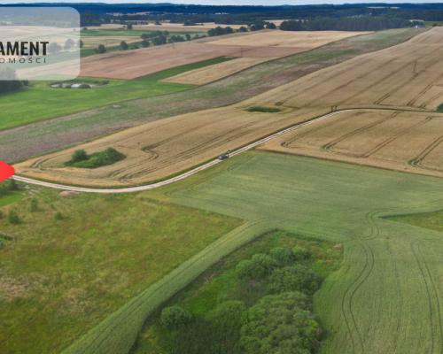 Działka 3500 m² w Skrzydłowie, z warunkami zabudow