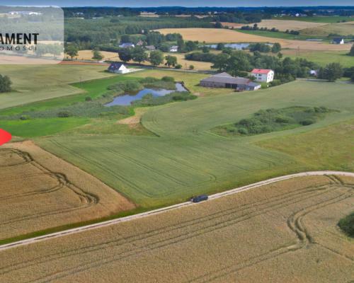 Działka 3500 m² w Skrzydłowie, z warunkami zabudow