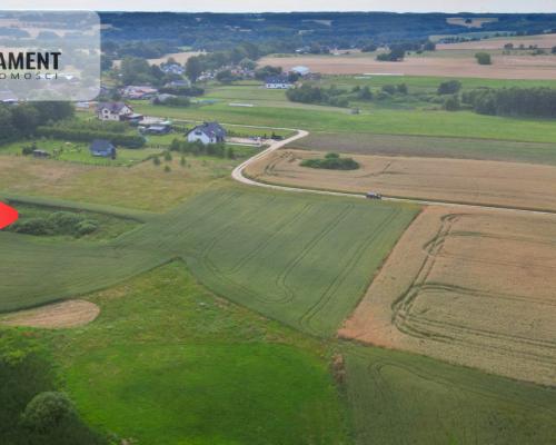 Działka 3500 m² w Skrzydłowie, z warunkami zabudow