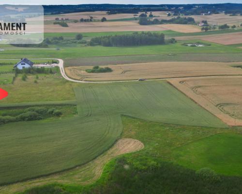 Działka 3500 m² w Skrzydłowie, z warunkami zabudow