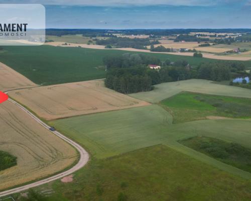 Działka 3500 m² w Skrzydłowie, z warunkami zabudow