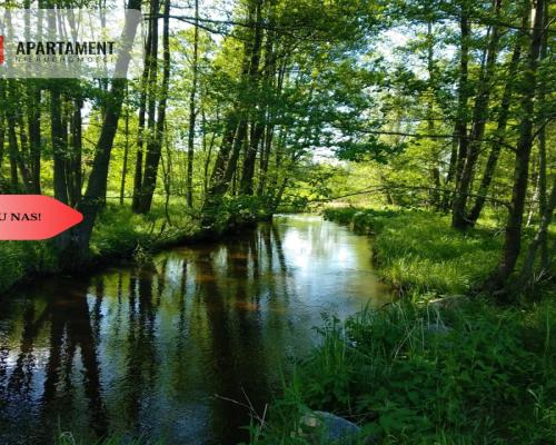 TYLKO U NAS!!! KLIMATYCZNE MIEJSCE !!!