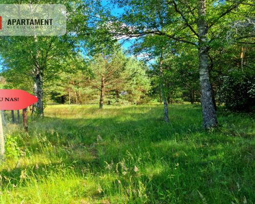 Tylko u Nas! Działka przy Wdzie w Borach Tucholski