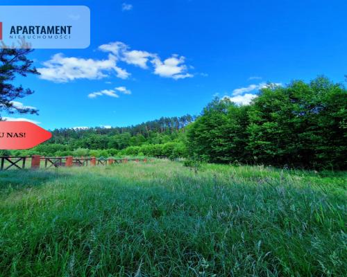 Tylko u Nas! Działka przy Wdzie w Borach Tucholski