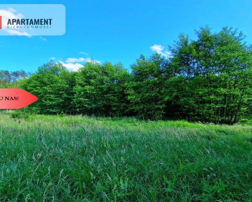 Tylko u Nas! Działka przy Wdzie w Borach Tucholski