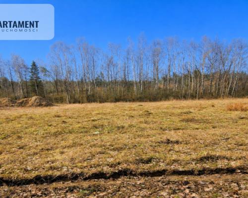 Nad jeziorem, przy lesie.