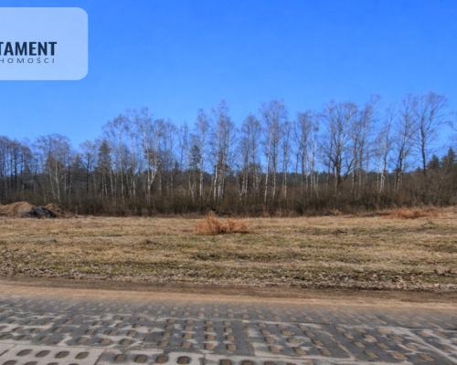 Nad jeziorem, przy lesie.