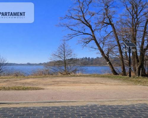 Nad jeziorem, przy lesie.