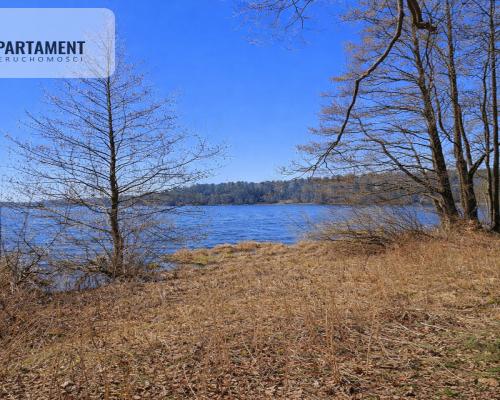 Nad jeziorem, przy lesie.