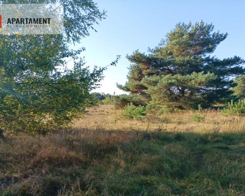 ATRAKCYJNA ZACISZNA I ZIELONA DZIAŁKA !!!