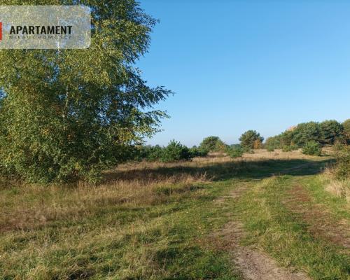 ATRAKCYJNA ZACISZNA I ZIELONA DZIAŁKA !!!