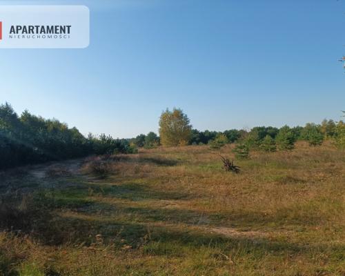 ATRAKCYJNA ZACISZNA I ZIELONA DZIAŁKA !!!