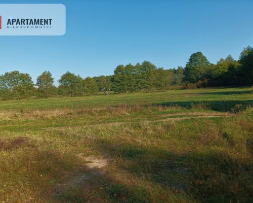 ATRAKCYJNA ZACISZNA I ZIELONA DZIAŁKA !!!