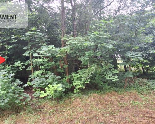 Działka w atrakcyjnej lokalizacji Super inwestycja