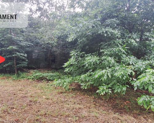 Działka w atrakcyjnej lokalizacji Super inwestycja