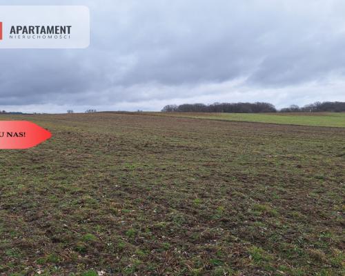 Działka Rolna Rogów Wołowski/gm. Wińsko