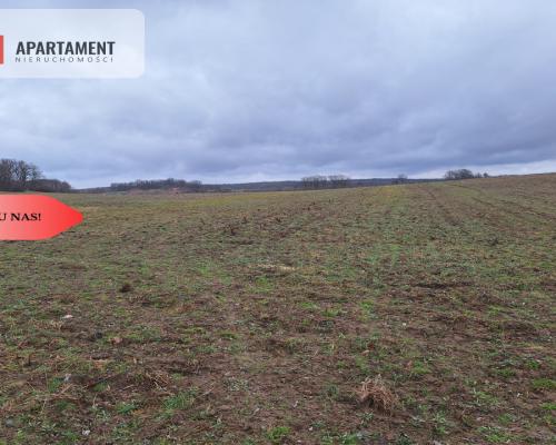 Działka Rolna Rogów Wołowski/gm. Wińsko