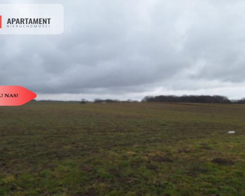 Działka Rolna Rogów Wołowski/gm. Wińsko