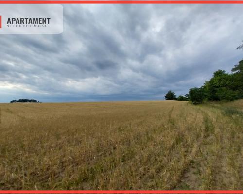 Działki pod lasem w Łabiszynie!