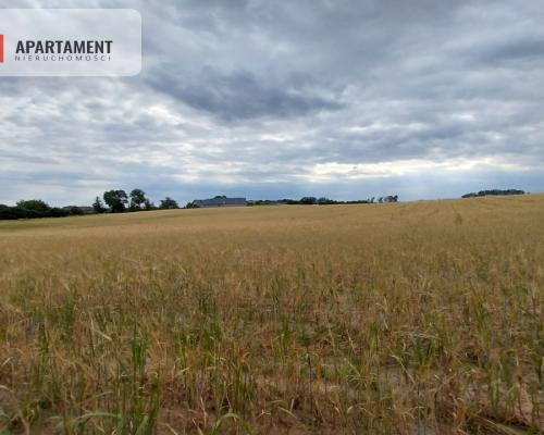 Działki pod lasem w Łabiszynie!