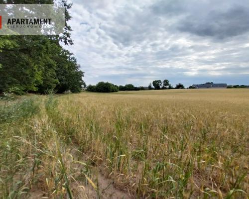 Działki pod lasem w Łabiszynie!