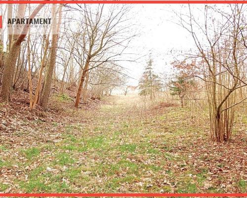 Malownicza działka wsród drzew!!!