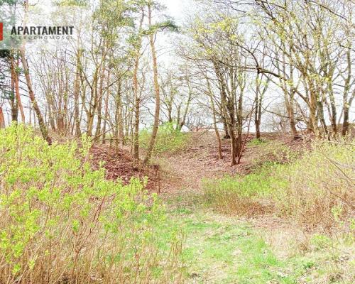 Malownicza działka wsród drzew!!!