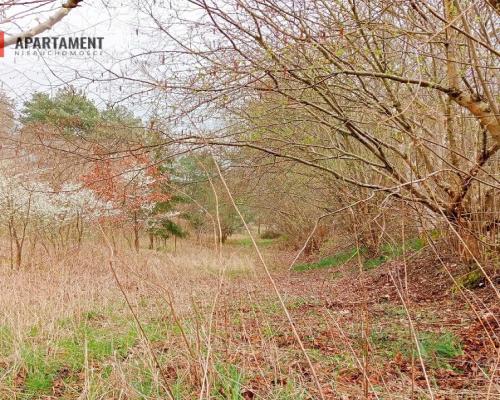 Malownicza działka wsród drzew!!!