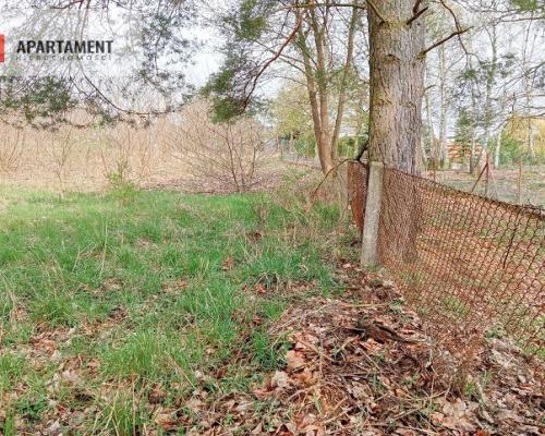 Malownicza działka wsród drzew!!!