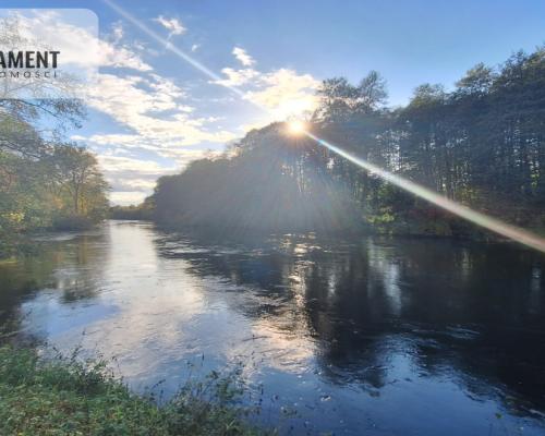 Malownicza działka na Piaskach