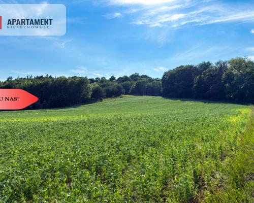 Tylko u nas! Działka 1,13 ha Gruczno REZERWACJA!
