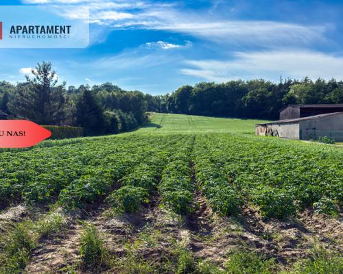 Tylko u nas! Działka 1,13 ha Gruczno REZERWACJA!